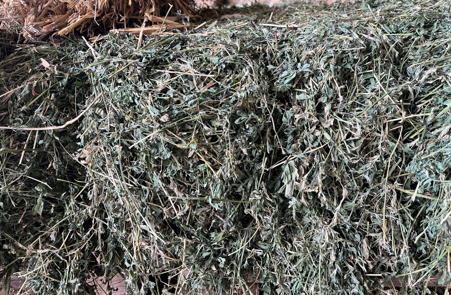 Petite bottes de luzerne 20kg