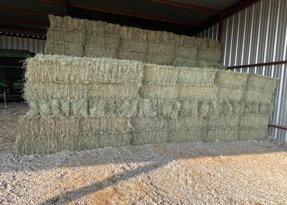 Foin dépoussiérer 20kg