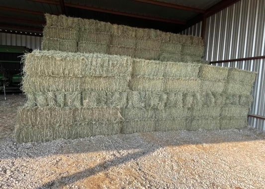 Foin dépoussiérer 20kg